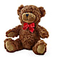 Adorable Plush Bear – Lakeside Florist, Battle Creek MI