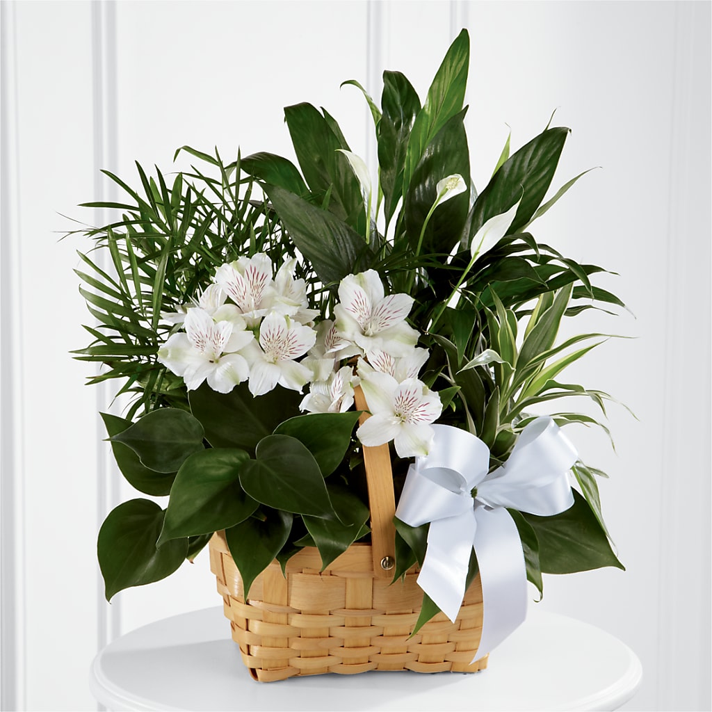 Peace & Serenity Dishgarden – Lakeside Florist, Battle Creek MI