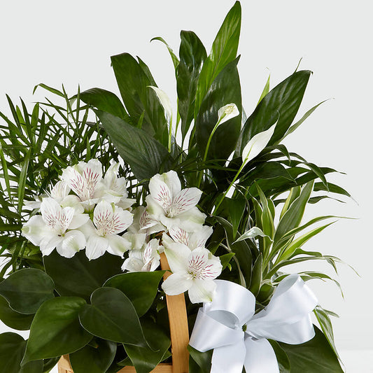 Peace & Serenity Dishgarden – Lakeside Florist, Battle Creek MI
