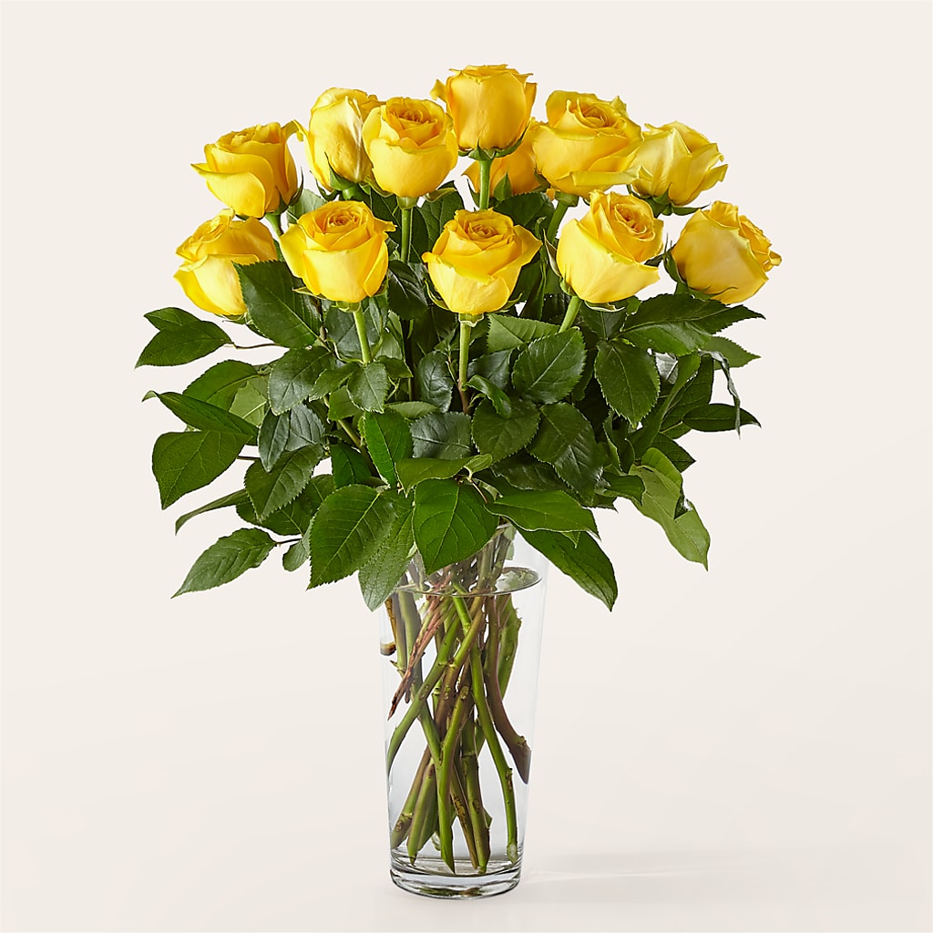 Long Stem Yellow Rose Bouquet – Lakeside Florist, Battle Creek MI