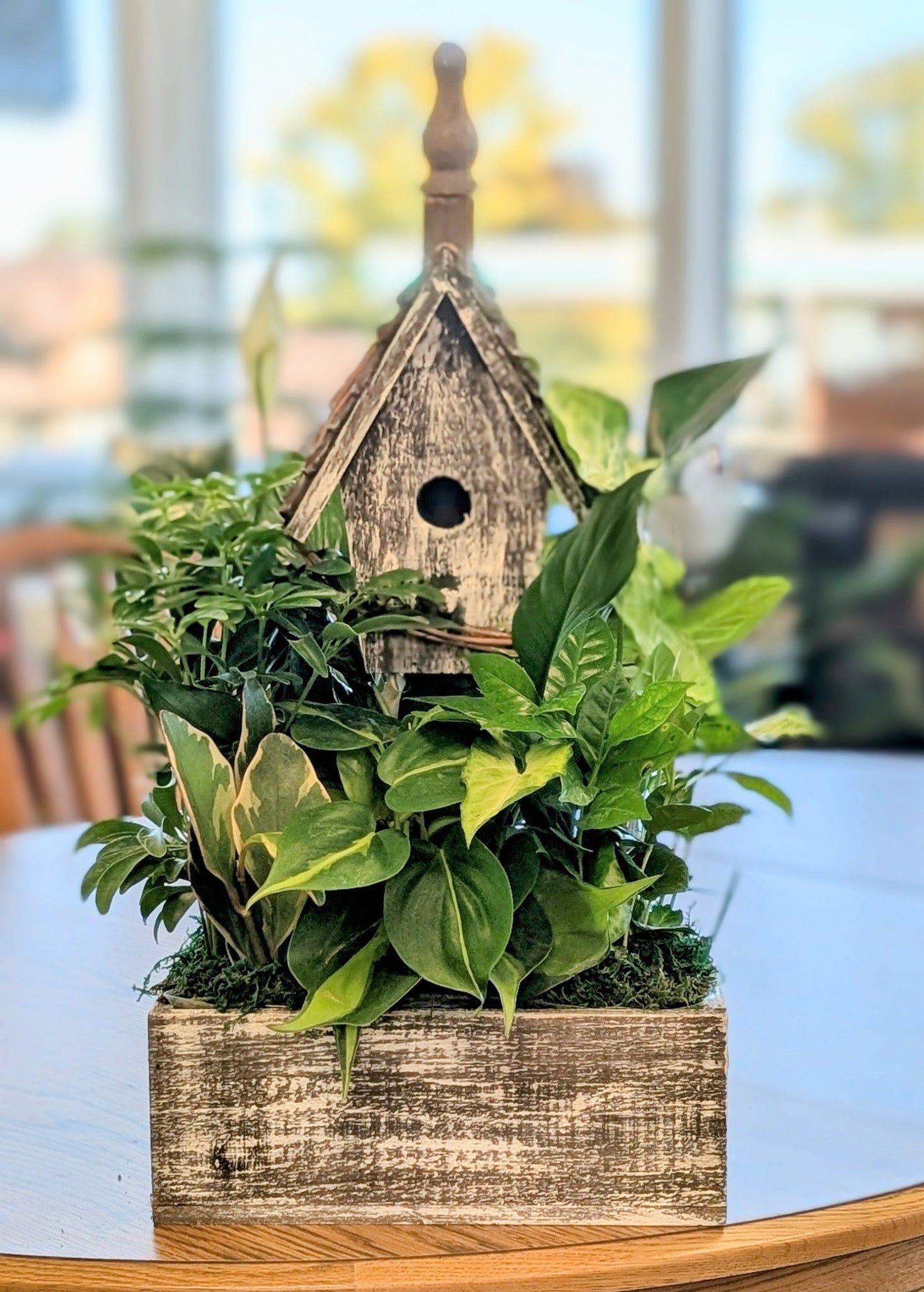 Short Grey Birdhouse – Lakeside Florist, Battle Creek MI