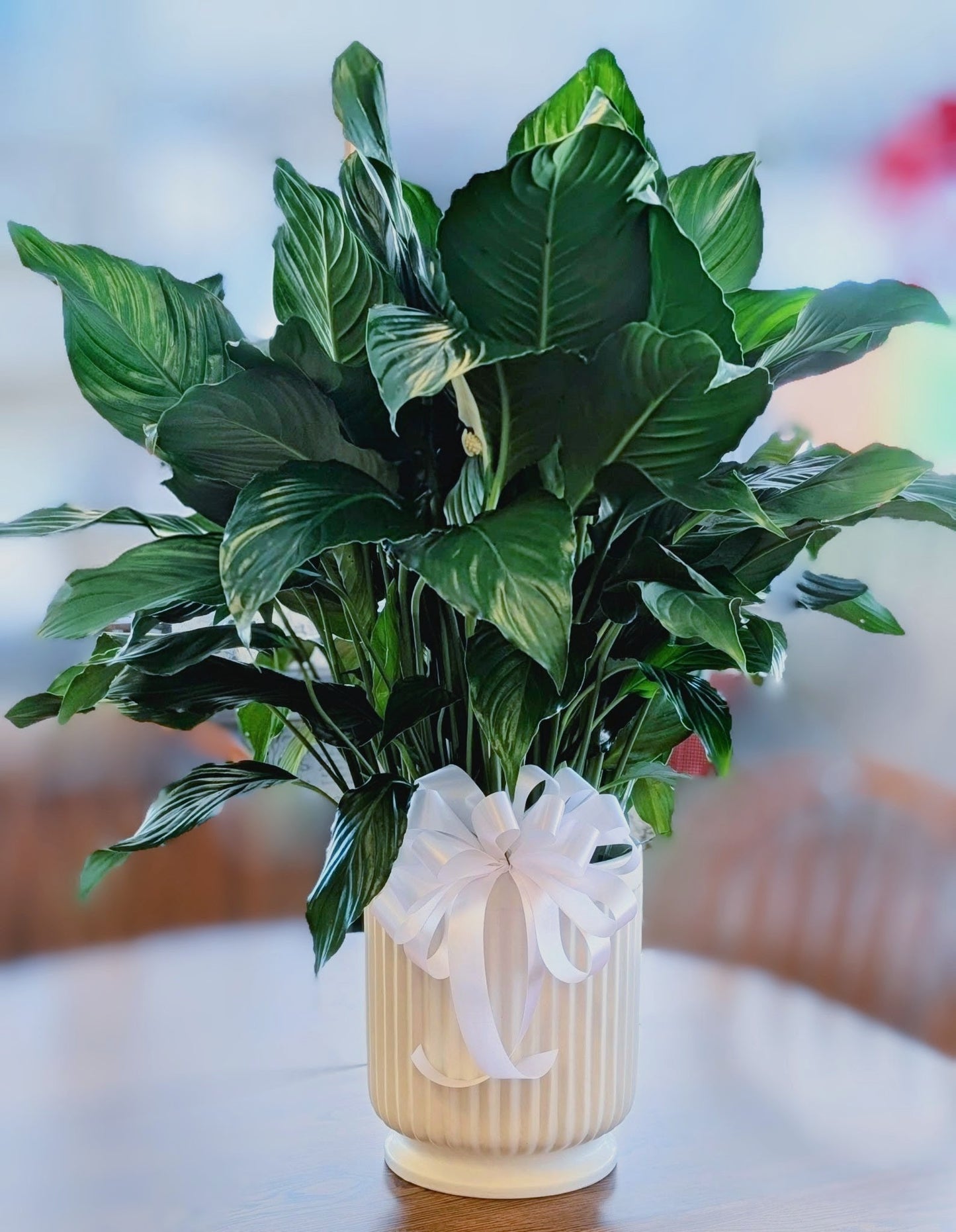 Comfort Planter – Lakeside Florist, Battle Creek MI