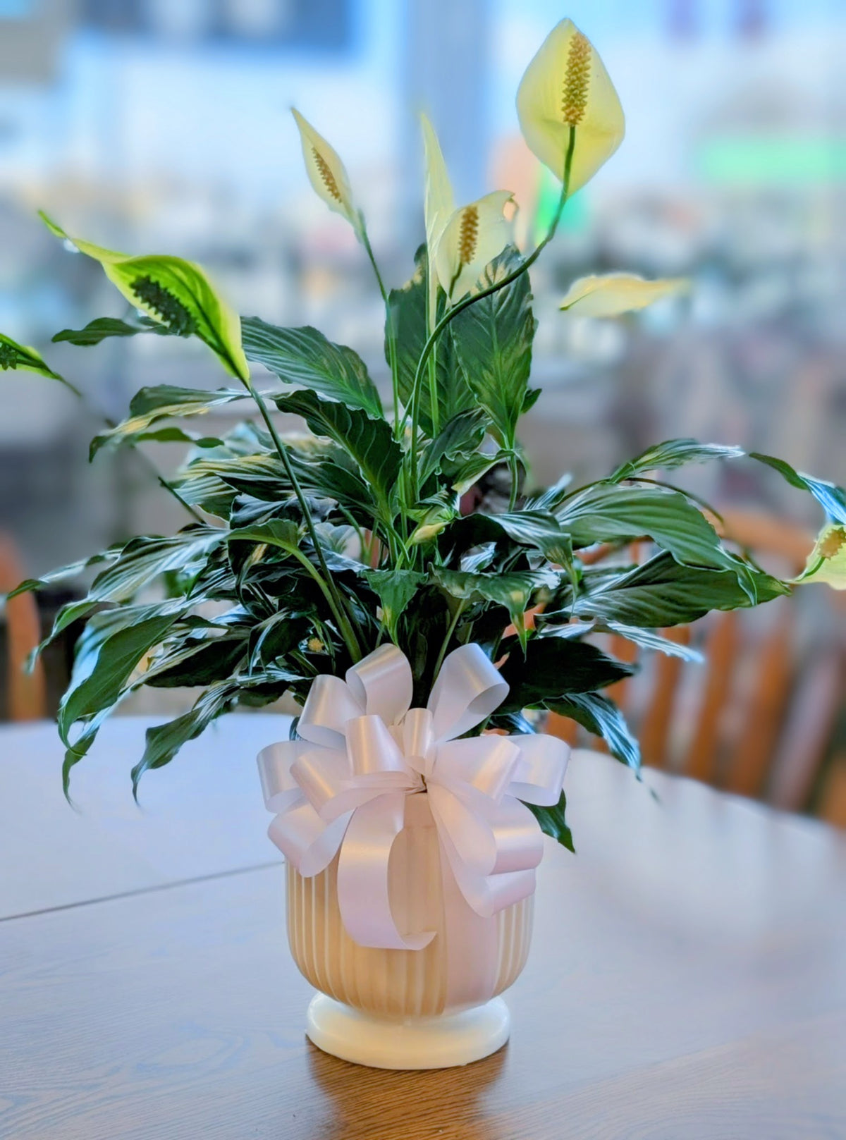 Comfort Planter – Lakeside Florist, Battle Creek MI