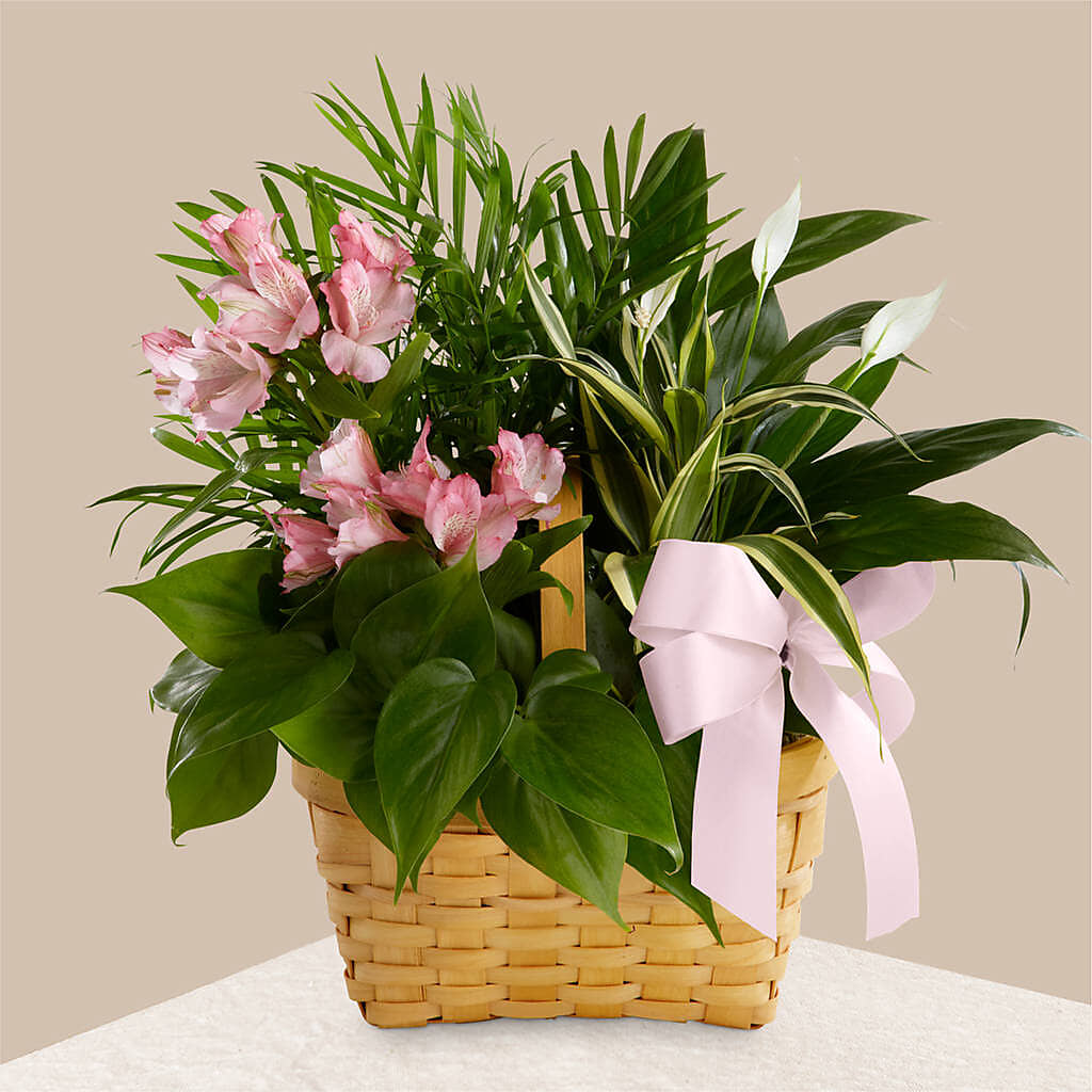 Living Spirit Dishgarden – Lakeside Florist, Battle Creek MI