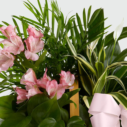 Living Spirit Dishgarden – Lakeside Florist, Battle Creek MI