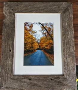 Tunnel of Trees – Lakeside Florist, Battle Creek MI