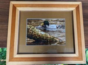 Duck in Pond – Lakeside Florist, Battle Creek MI