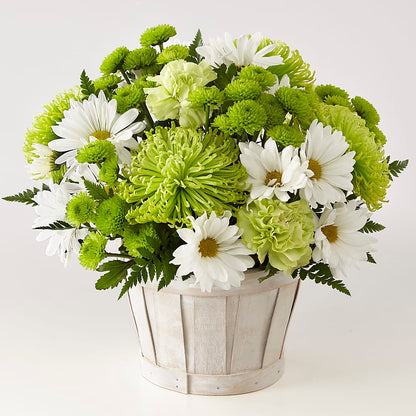 Lucky Charm Basket (Standard) –  Lakeside Florist, Battle Creek MI