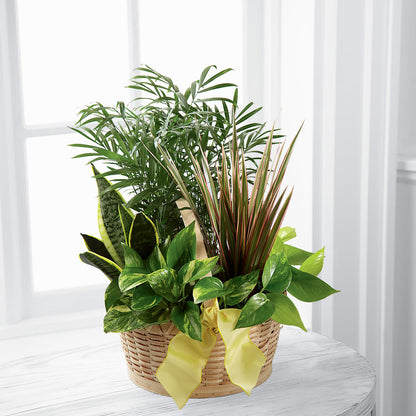 French Garden –  Lakeside Florist, Battle Creek MI