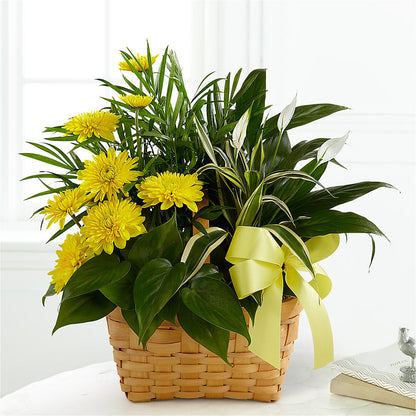 Loving Light Dishgarden –  Lakeside Florist, Battle Creek MI