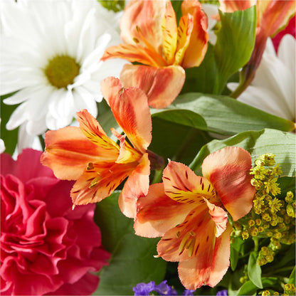 Oopsie Daisy Box Bouquet –  Lakeside Florist, Battle Creek MI