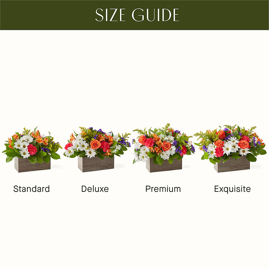 Oopsie Daisy Box Bouquet –  Lakeside Florist, Battle Creek MI