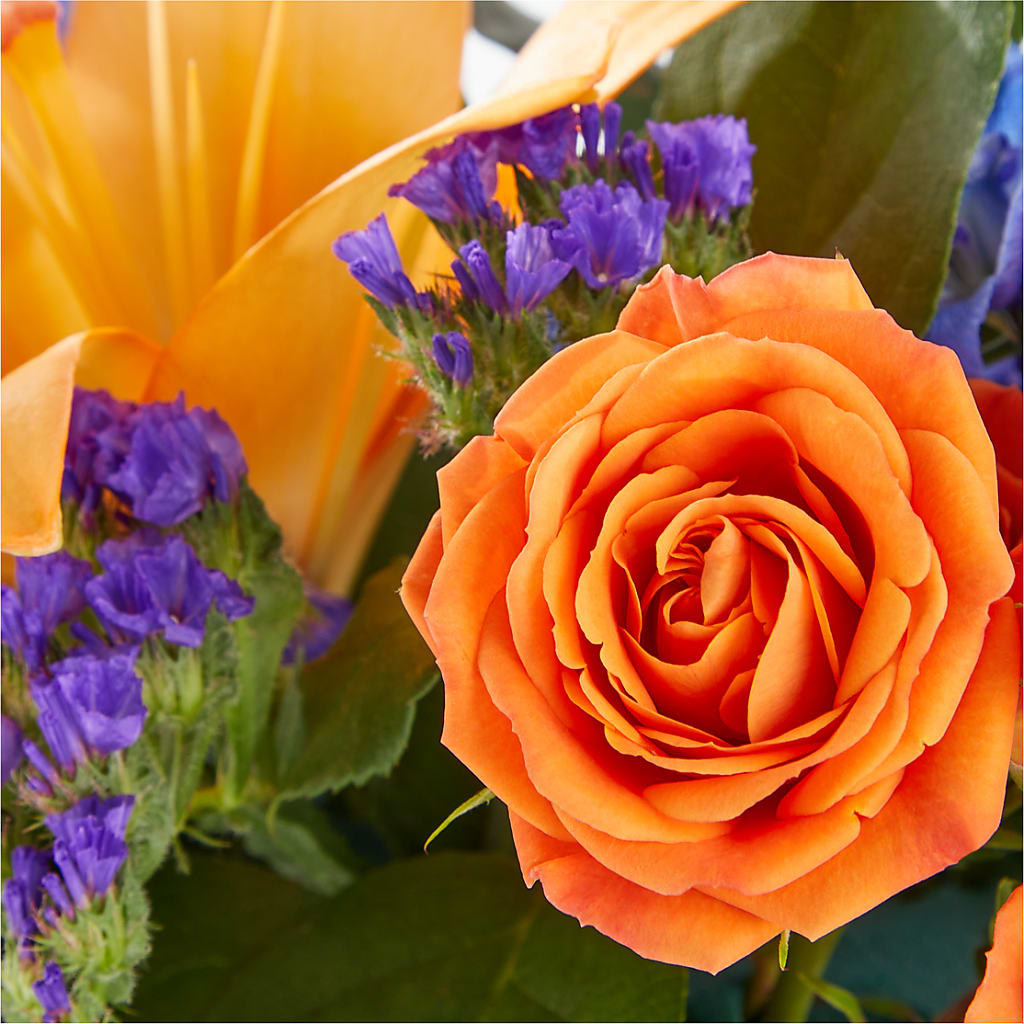Radiant Citrus Box Bouquet –  Lakeside Florist, Battle Creek MI