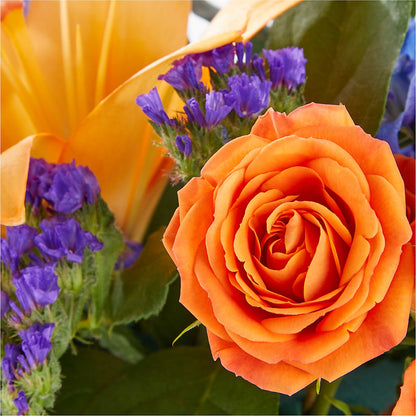 Radiant Citrus Box Bouquet –  Lakeside Florist, Battle Creek MI