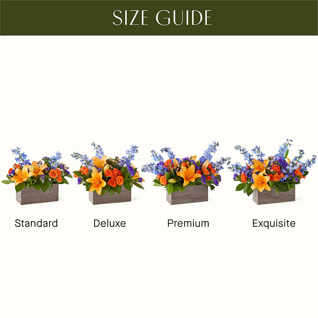 Radiant Citrus Box Bouquet –  Lakeside Florist, Battle Creek MI