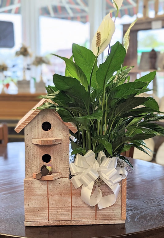 Double Birdhouse Planter