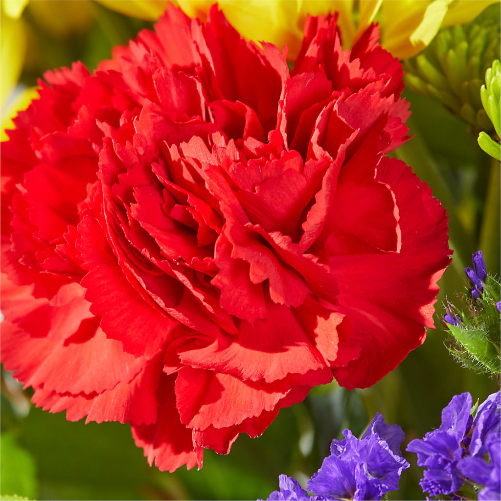 Brighter Days Bouquet –  Lakeside Florist, Battle Creek MI