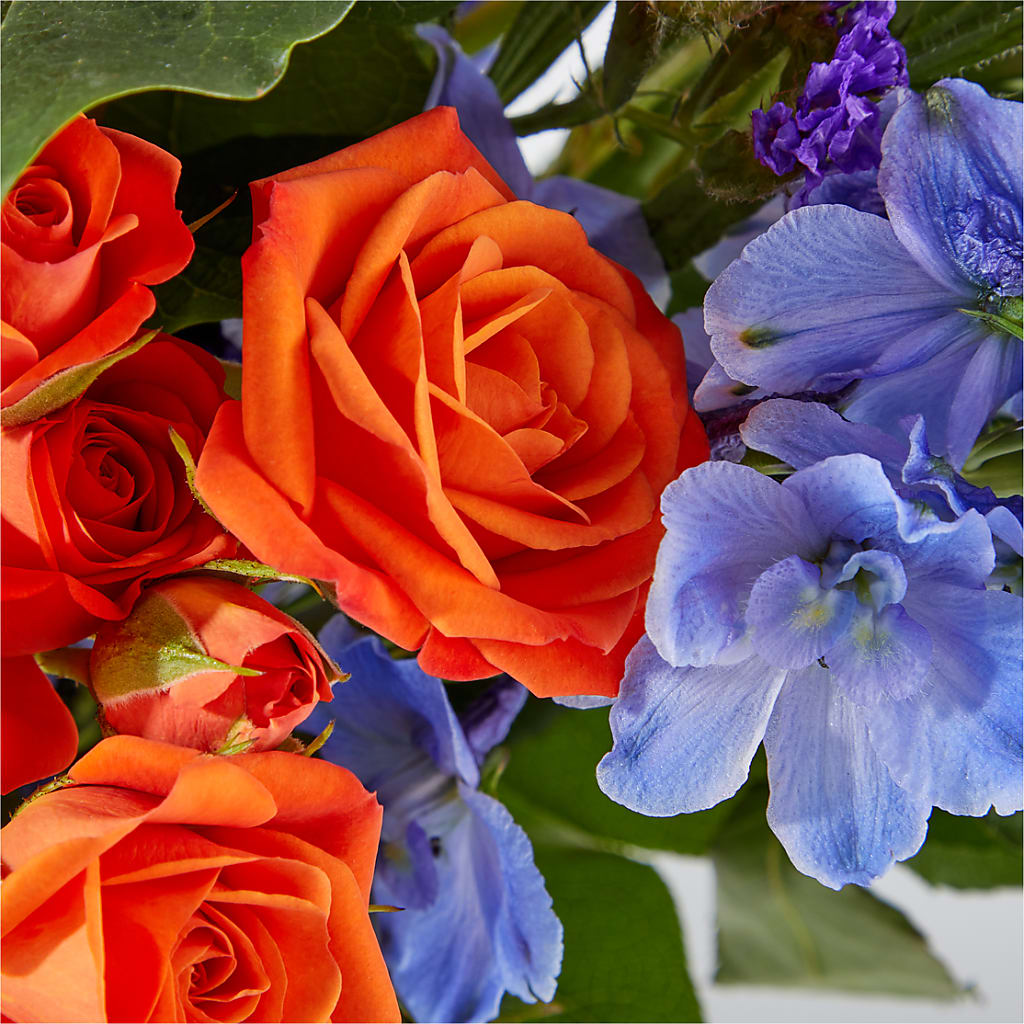 Radiant Citrus Bouquet –  Lakeside Florist, Battle Creek MI