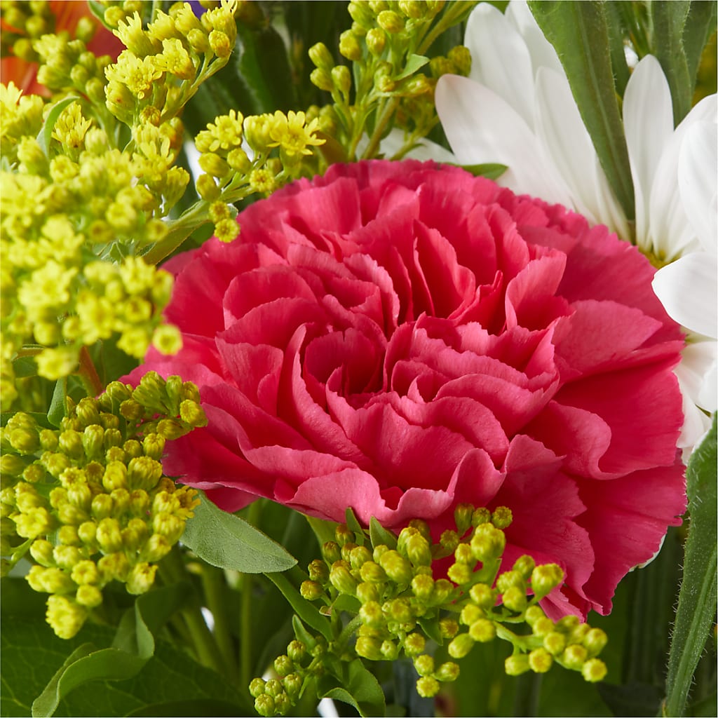 Oopsie Daisy Bouquet –  Lakeside Florist, Battle Creek MI