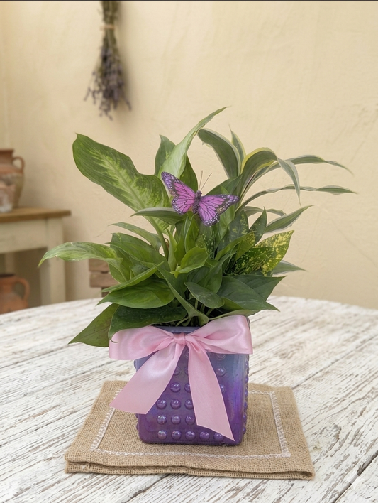 Mom’s Garden Keepsake