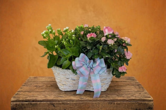 Autumn Blossom Baskets –  Lakeside Florist, Battle Creek MI