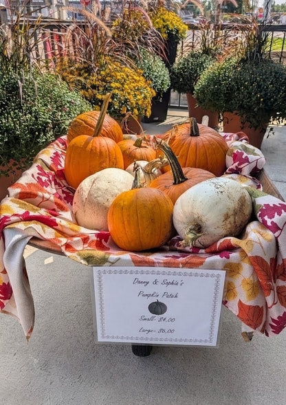 Pumpkins –  Lakeside Florist, Battle Creek MI