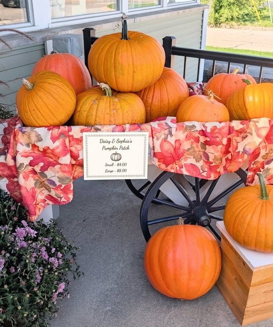 Pumpkin –  Lakeside Florist, Battle Creek MI