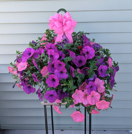 Hanging Basket