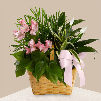 Living Spirit Dishgarden –  Lakeside Florist, Battle Creek MI
