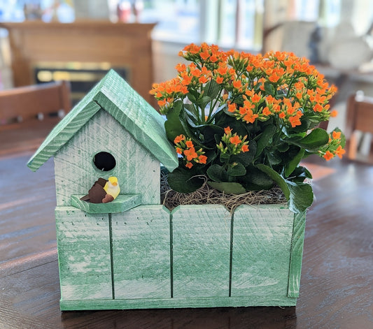 Single Birdhouse Planter