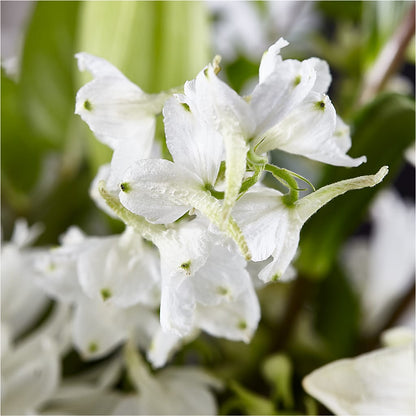 Classic Ivory – A Florist Original –  Lakeside Florist, Battle Creek MI