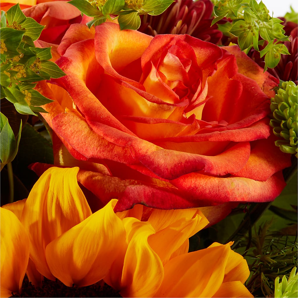 Harvest Festival Bouquet –  Lakeside Florist, Battle Creek MI
