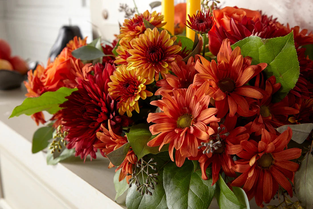 homepageBannerMetadata_Image_1757599436835.webp