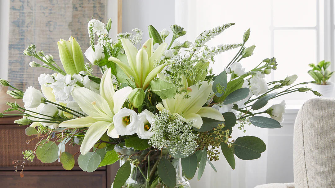 homepageBannerMetadata_Image_1777313008301.webp